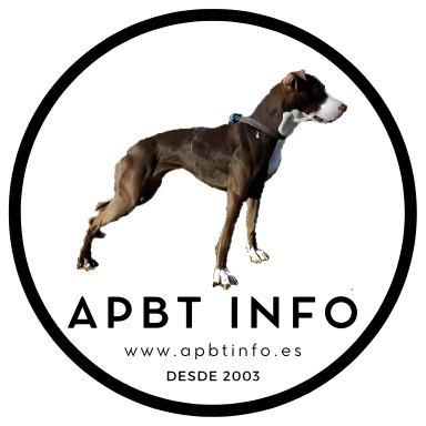 APBTINFO, American Pit Bull Terrier, Pitbull, Gamedog